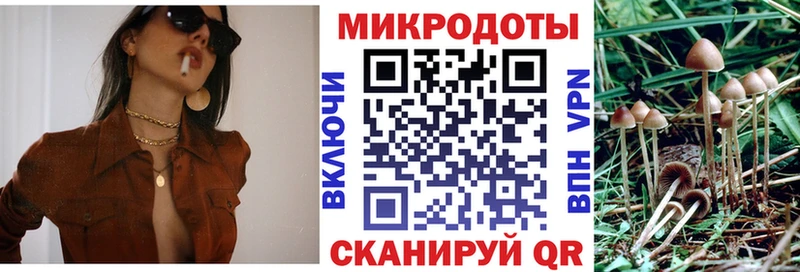 купить закладку  Щёлкино  Галлюциногенные грибы Psilocybe 